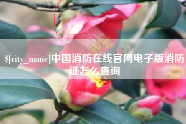 西宁中国消防在线官网电子版消防证怎么查询