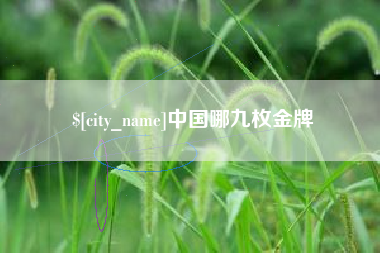 西宁中国哪九枚金牌