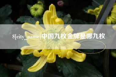 西宁中国九枚金牌是哪九枚