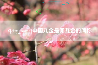西宁中国九金是哪九金的简称