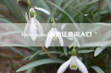 西宁消防证查询入口