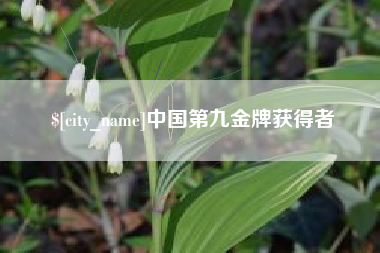 西宁中国第九金牌获得者
