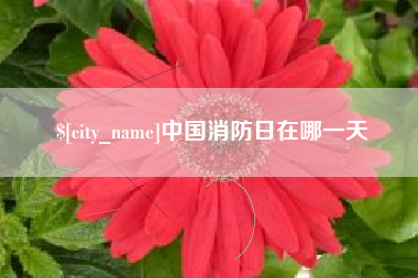 西宁中国消防日在哪一天