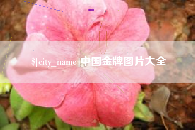 西宁中国金牌图片大全