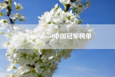 西宁中国冠军榜单