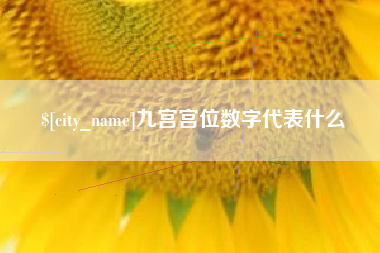 西宁九宫宫位数字代表什么