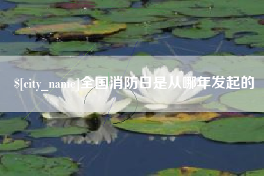 西宁全国消防日是从哪年发起的