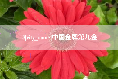 西宁中国金牌第九金