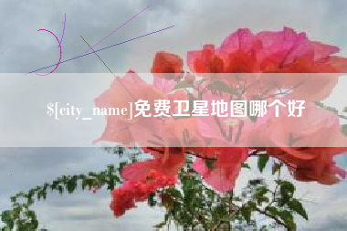 西宁免费卫星地图哪个好