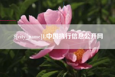 西宁1.中国执行信息公开网