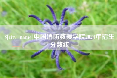 西宁中国消防救援学院2024年招生分数线