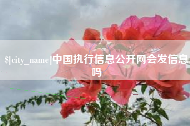 西宁中国执行信息公开网会发信息吗