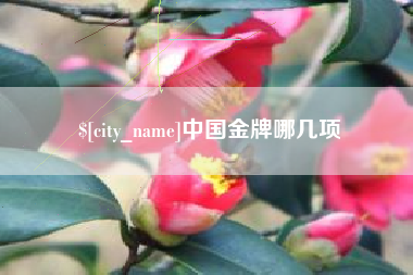 西宁中国金牌哪几项