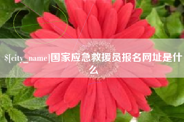 西宁国家应急救援员报名网址是什么