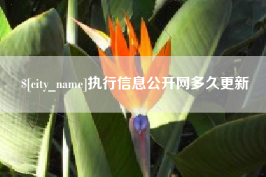 西宁执行信息公开网多久更新