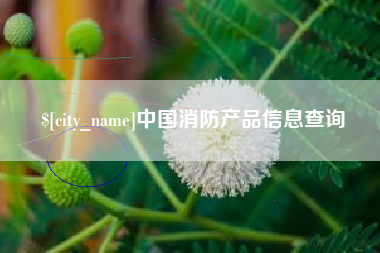 西宁中国消防产品信息查询