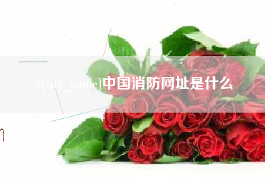 西宁中国消防网址是什么