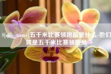 西宁五千米比赛领跑员是什么-他们就是五千米比赛领跑员