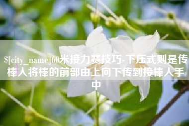 西宁60米接力赛技巧-下压式则是传棒人将棒的前部由上向下传到接棒人手中