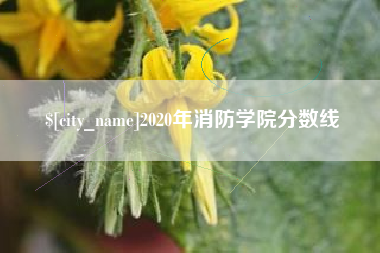 西宁2020年消防学院分数线