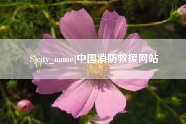 西宁中国消防救援网站
