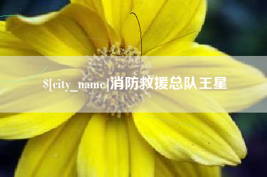 西宁消防救援总队王星