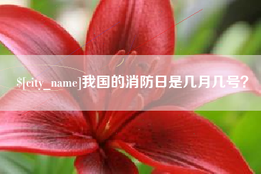 西宁我国的消防日是几月几号？