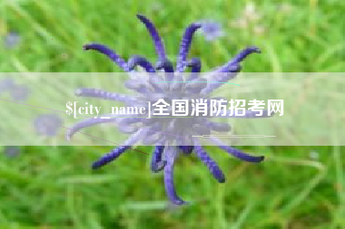 西宁全国消防招考网