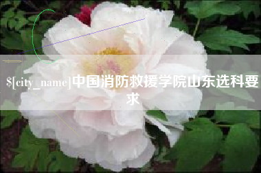 西宁中国消防救援学院山东选科要求
