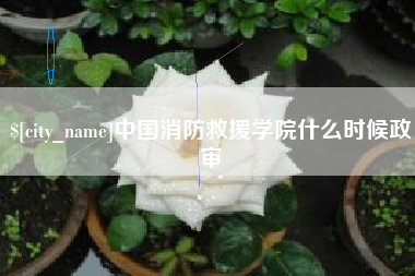 西宁中国消防救援学院什么时候政审