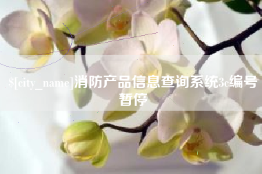 西宁消防产品信息查询系统3c编号暂停
