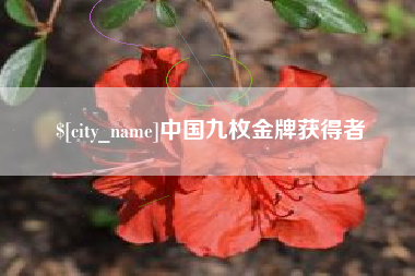 西宁中国九枚金牌获得者