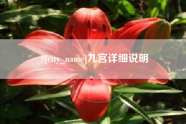 西宁九宫详细说明