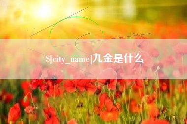 西宁九金是什么