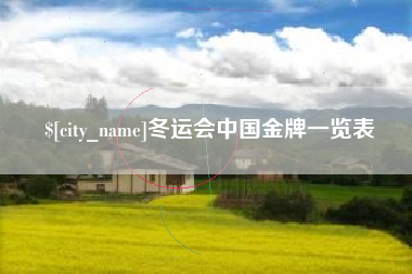 西宁冬运会中国金牌一览表