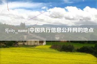 西宁中国执行信息公开网的地点
