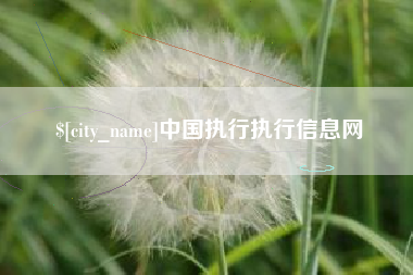 西宁中国执行执行信息网