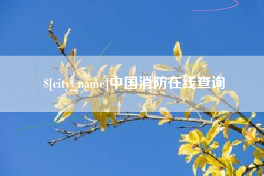 西宁中国消防在线查询