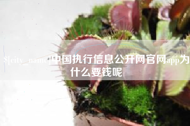 西宁中国执行信息公开网官网app为什么要钱呢