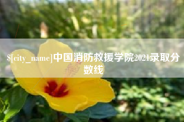 西宁中国消防救援学院2021录取分数线