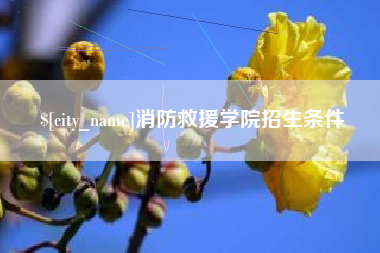 西宁消防救援学院招生条件