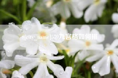 西宁579九宫格如何排