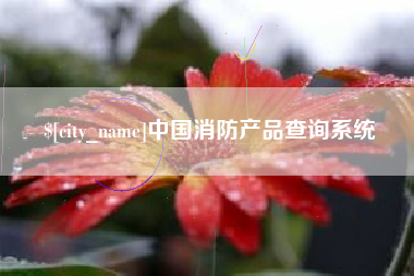 西宁中国消防产品查询系统