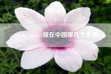 西宁现在中国哪几个金牌