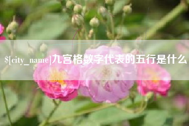 西宁九宫格数字代表的五行是什么