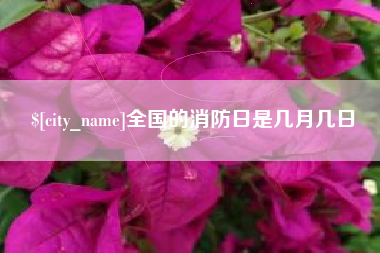 西宁全国的消防日是几月几日