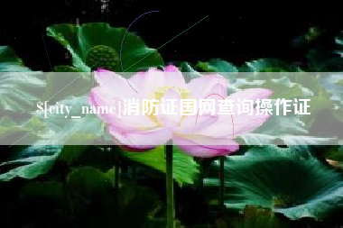 西宁消防证国网查询操作证