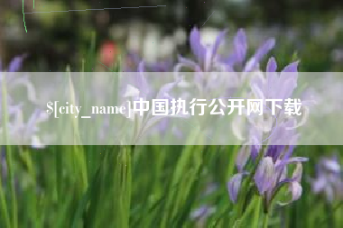 西宁中国执行公开网下载