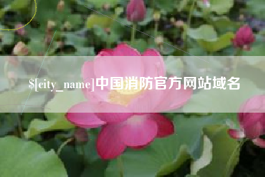 西宁中国消防官方网站域名