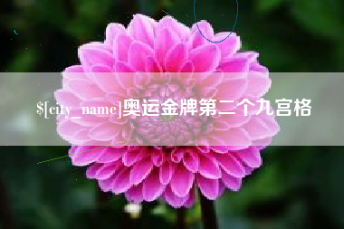 西宁奥运金牌第二个九宫格